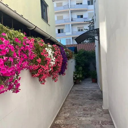 Cami 招待所